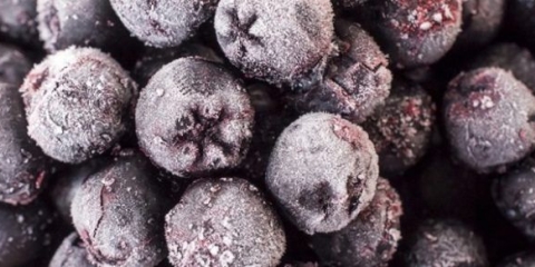 Kako zamrznuti aroniju za zimu